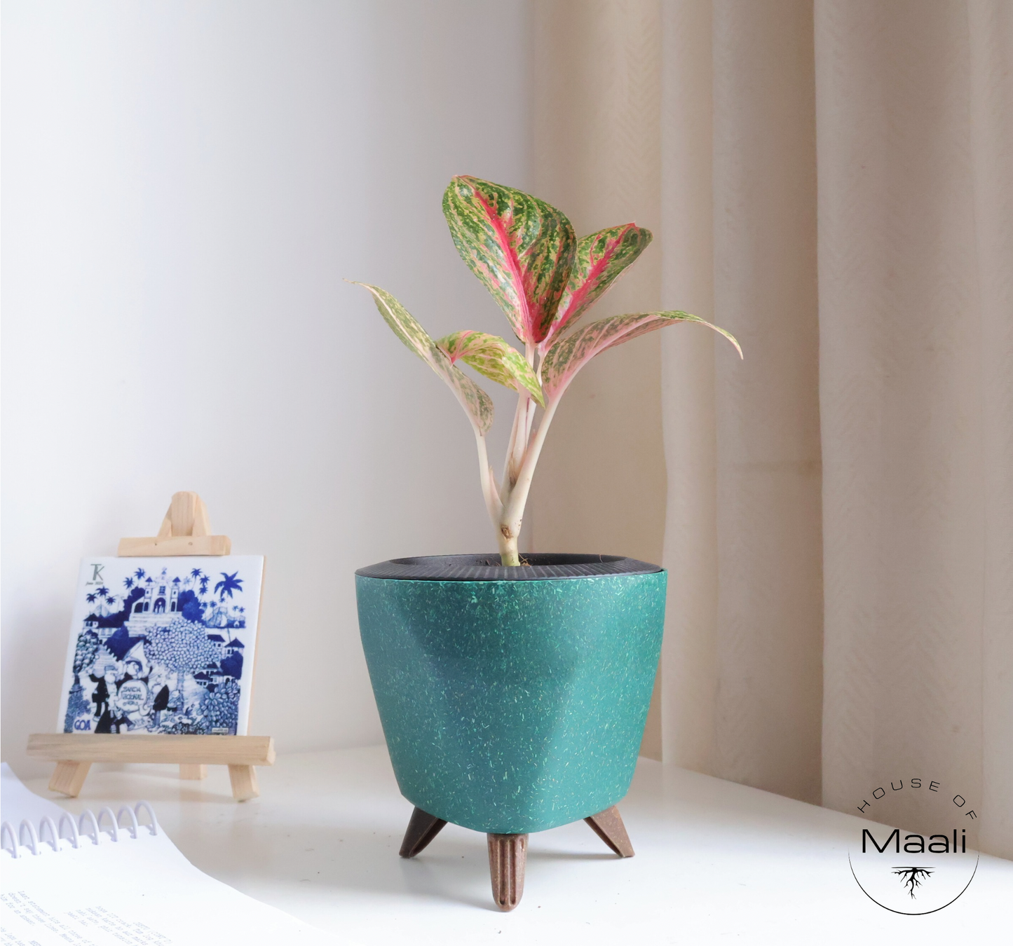 Aglaonema - Golden Powder + 13cm Green Self-Watering Recycled Plastic Planter