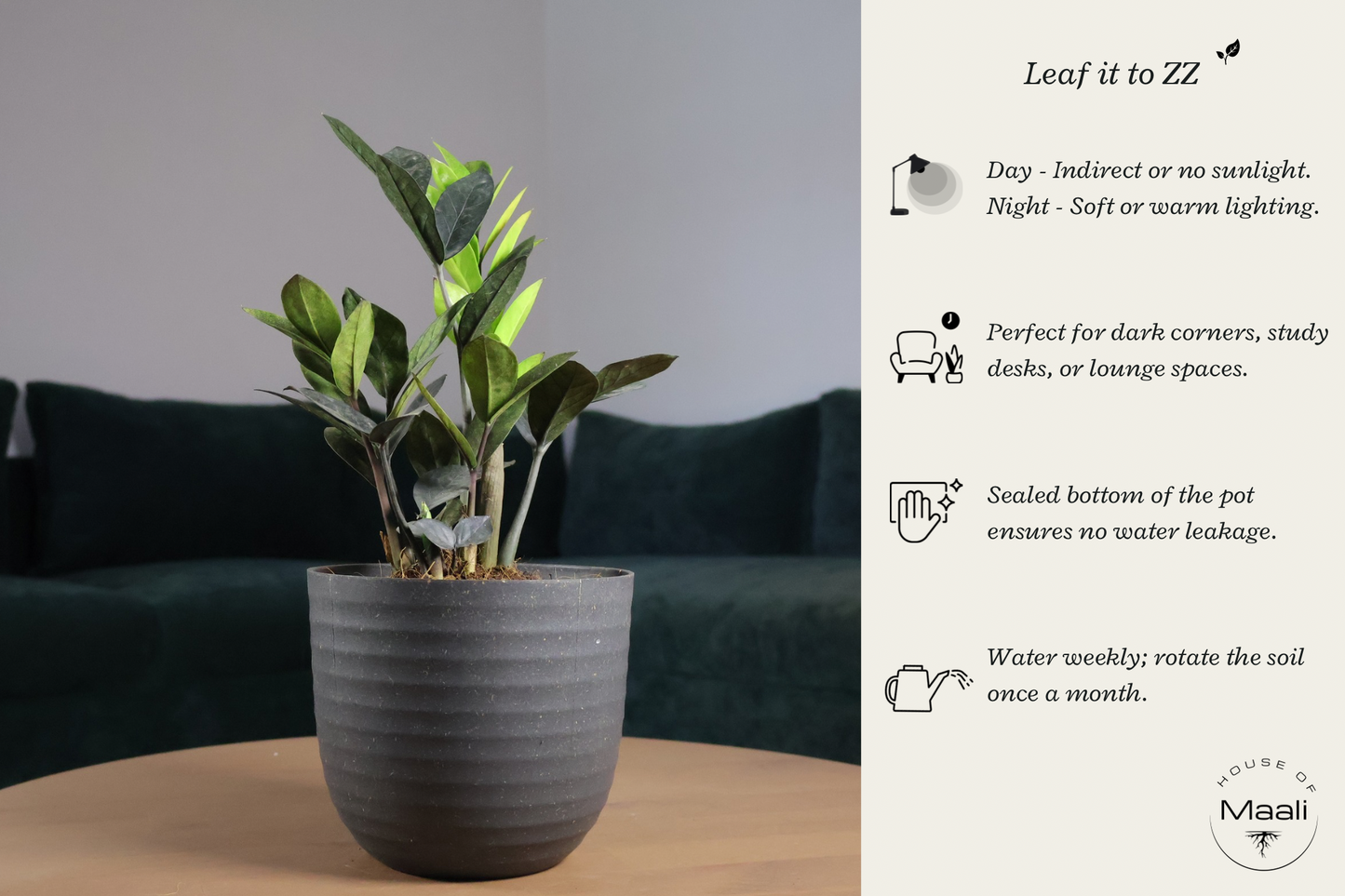 ZZ Black (Large) in 14cm Black Recycled Plastic Planter