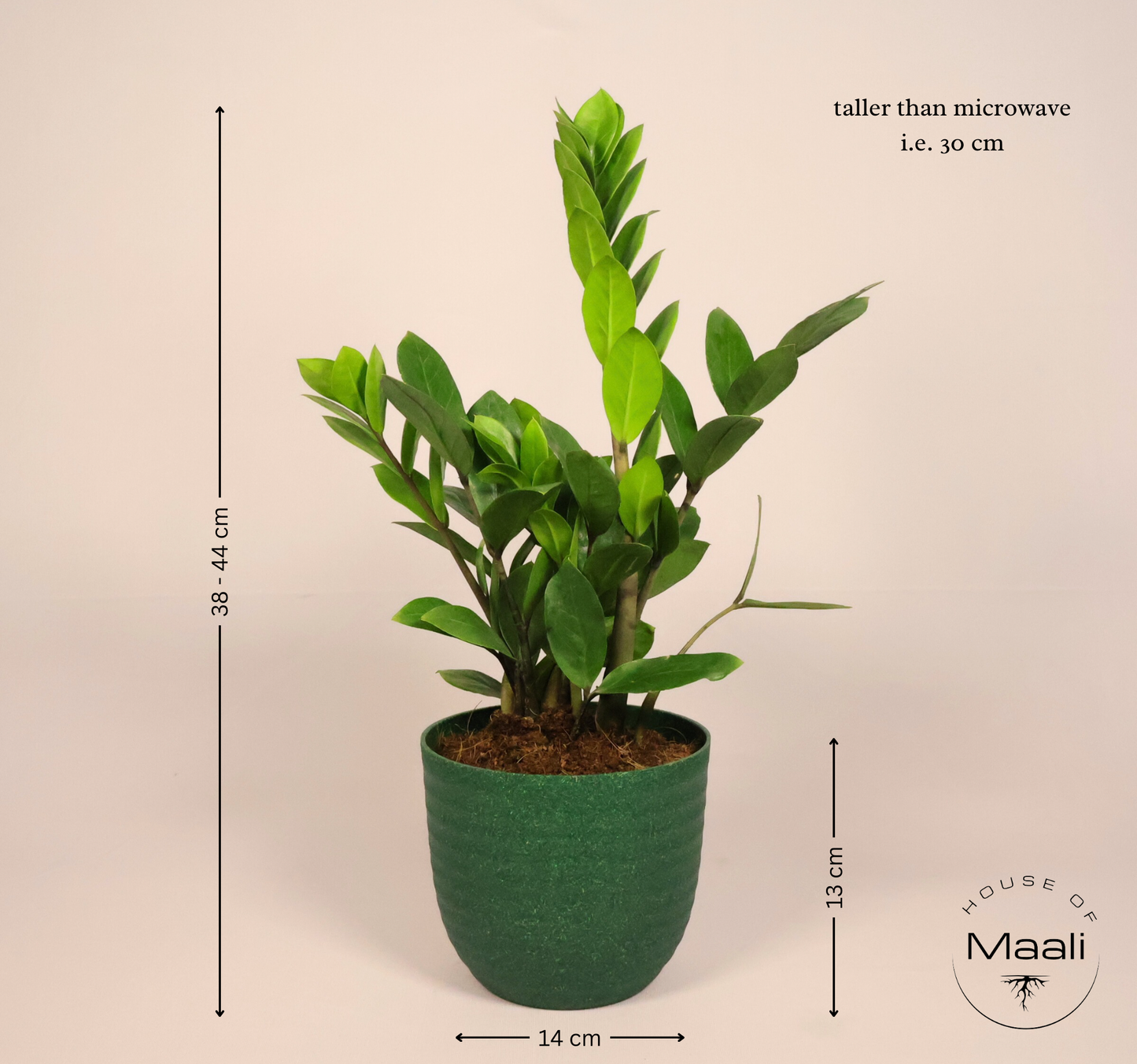 ZZ - Green (Large) + 14cm Green Recycled Plastic Planter