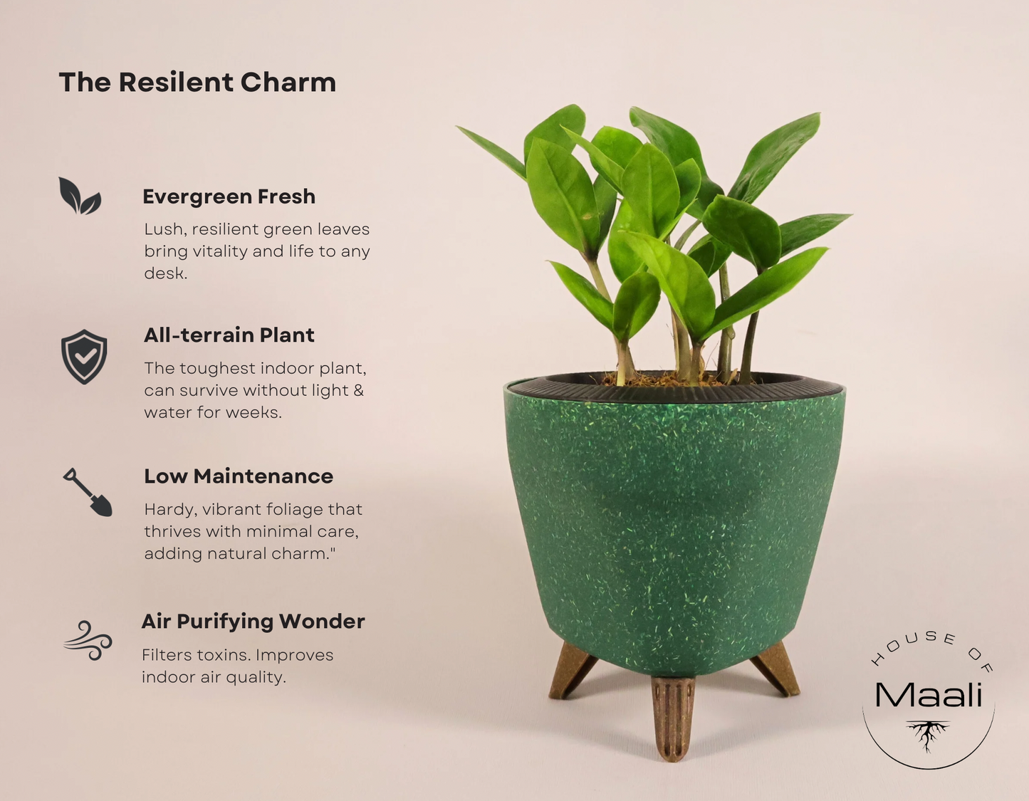 ZZ - Green + 13cm Green Self-watering Desk Planter
