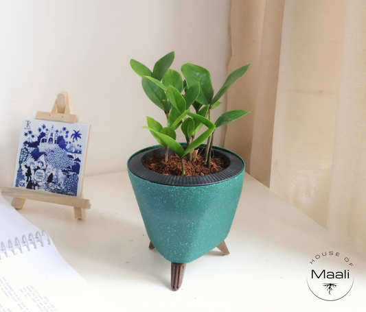 ZZ - Green + 13cm Green Self-watering Desk Planter