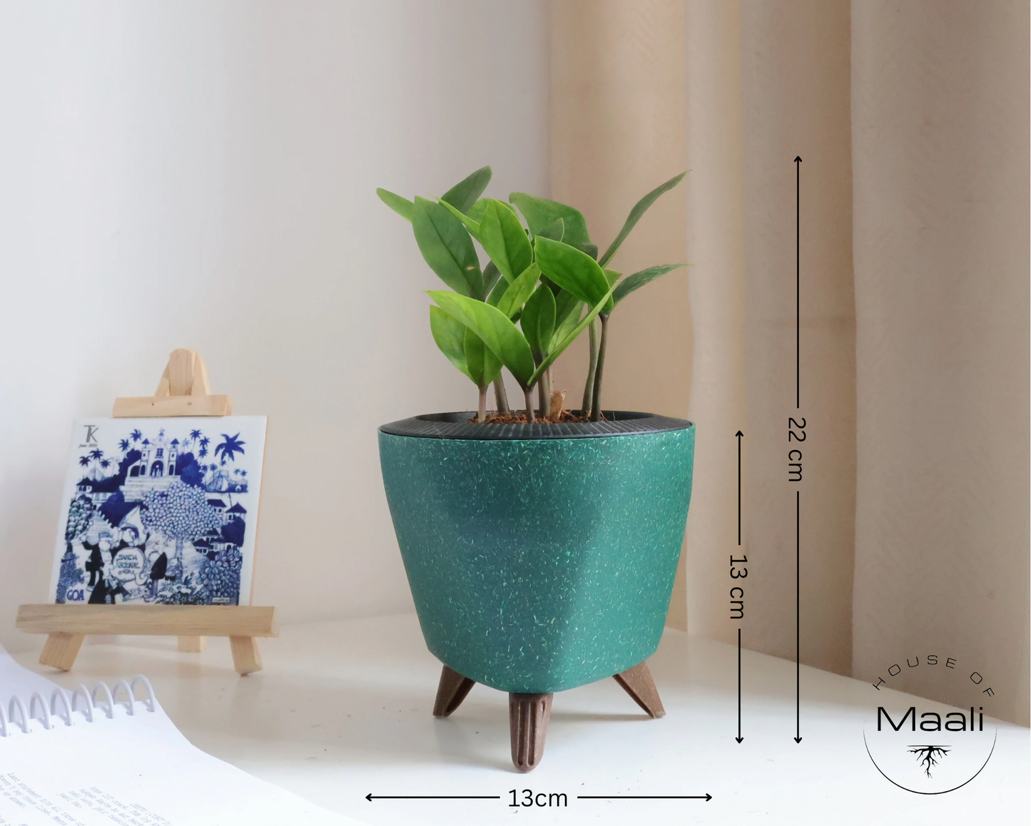 ZZ - Green + 13cm Green Self-watering Desk Planter